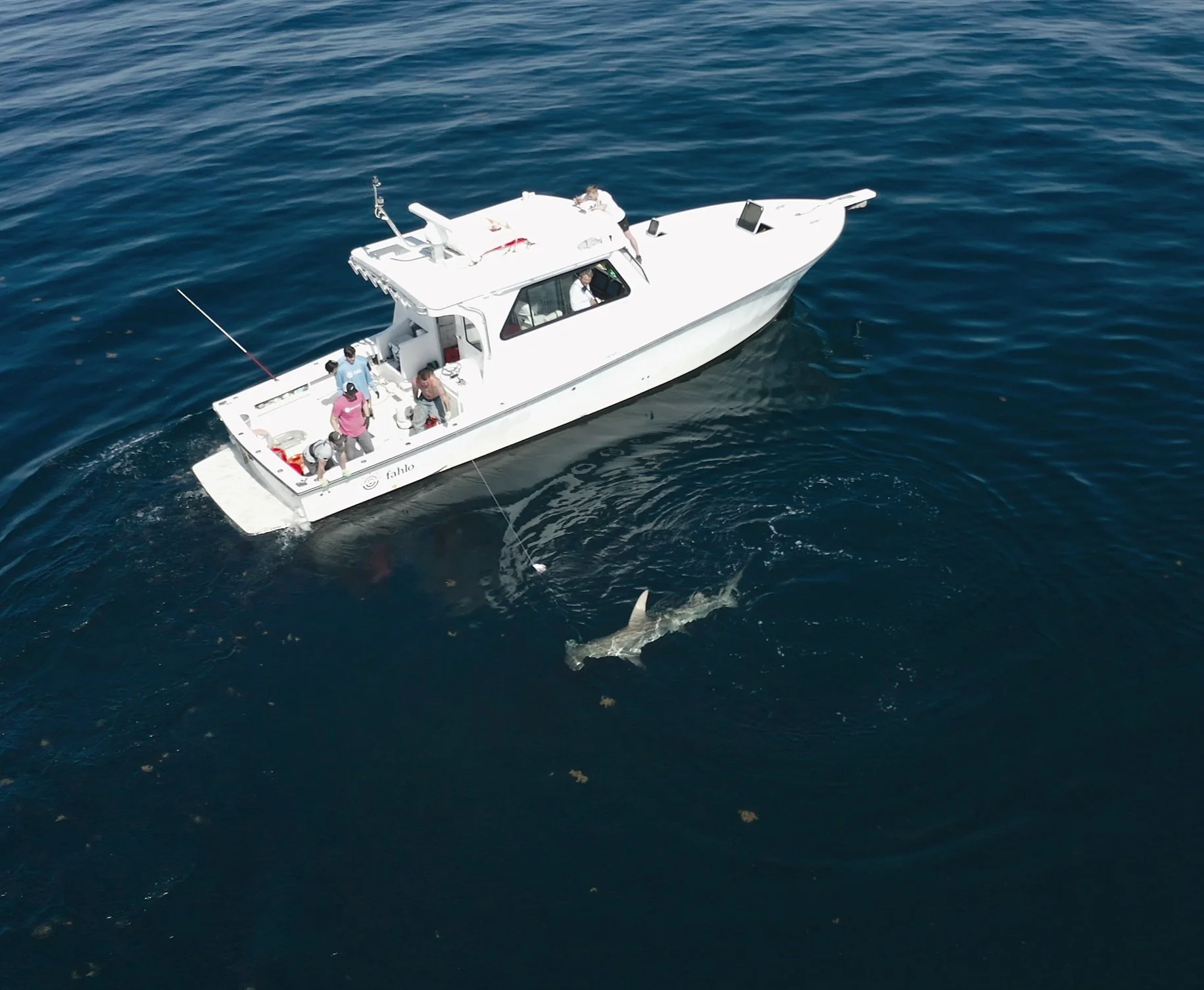 Fahlo 2023 | Join Marine Conservation Efforts Today — Saving the Blue